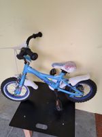 Leopard Flipper, Kindervelo, frisch revidiert