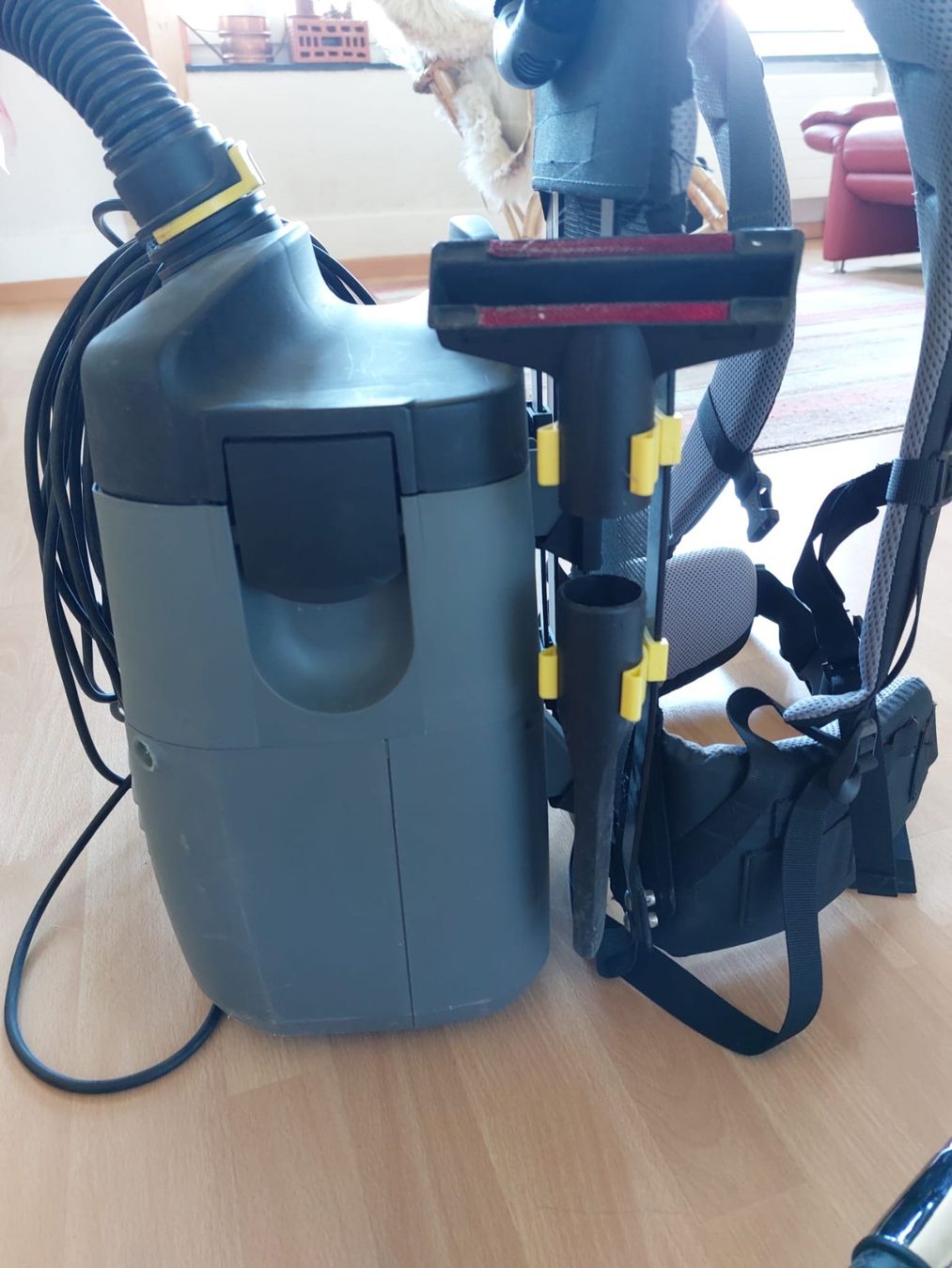 Kärcher Aspirateurs & Accessoires: Kärcher Rückenstaubsauger – D'occasion à Frauenfeld par servicesdietrich 2