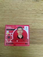 🤩 ALB 8 - Topps Euro 2024 Sticker