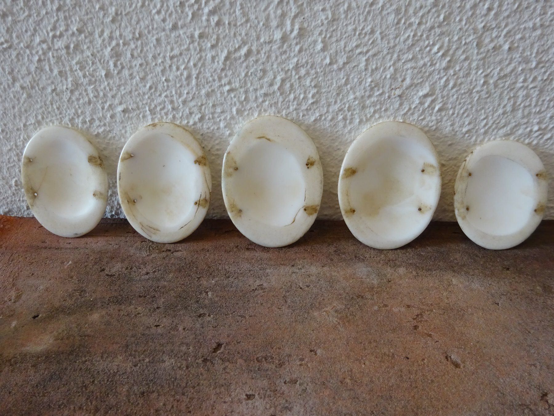 Bottoni: Ethno Knöpfe Muschelschale / Nagaland – Usato da Esslingen venduto da FetteSchnecke 3