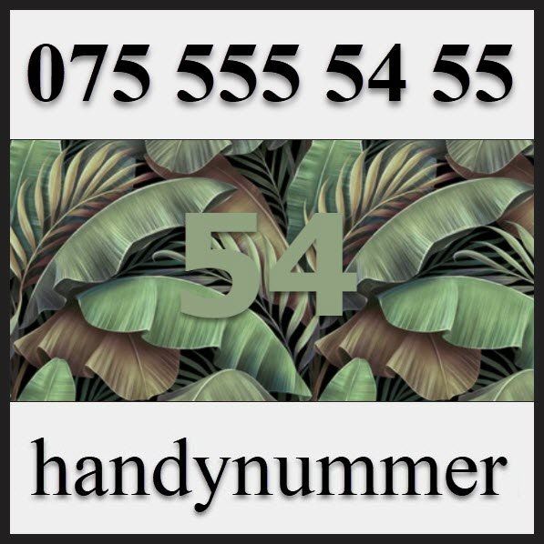 Carte prepagate: Handynummer, Telefonnummer, VIP Nummer, 075 555 54 55 – Nuovo (secondo la descrizione) da Winterthur venduto da handynummerch