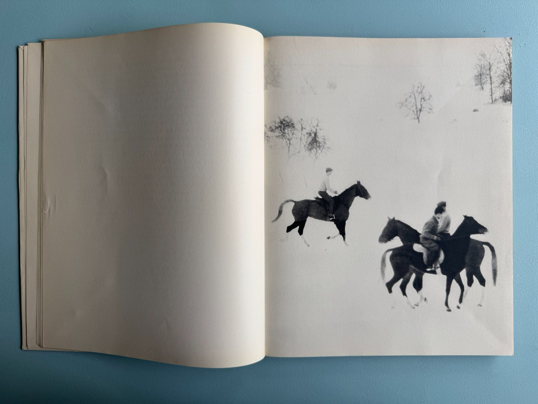 Bücher: Gotthard  SCHUH  - Begegnungen – Gebraucht aus Basel von Kornblumen 1
