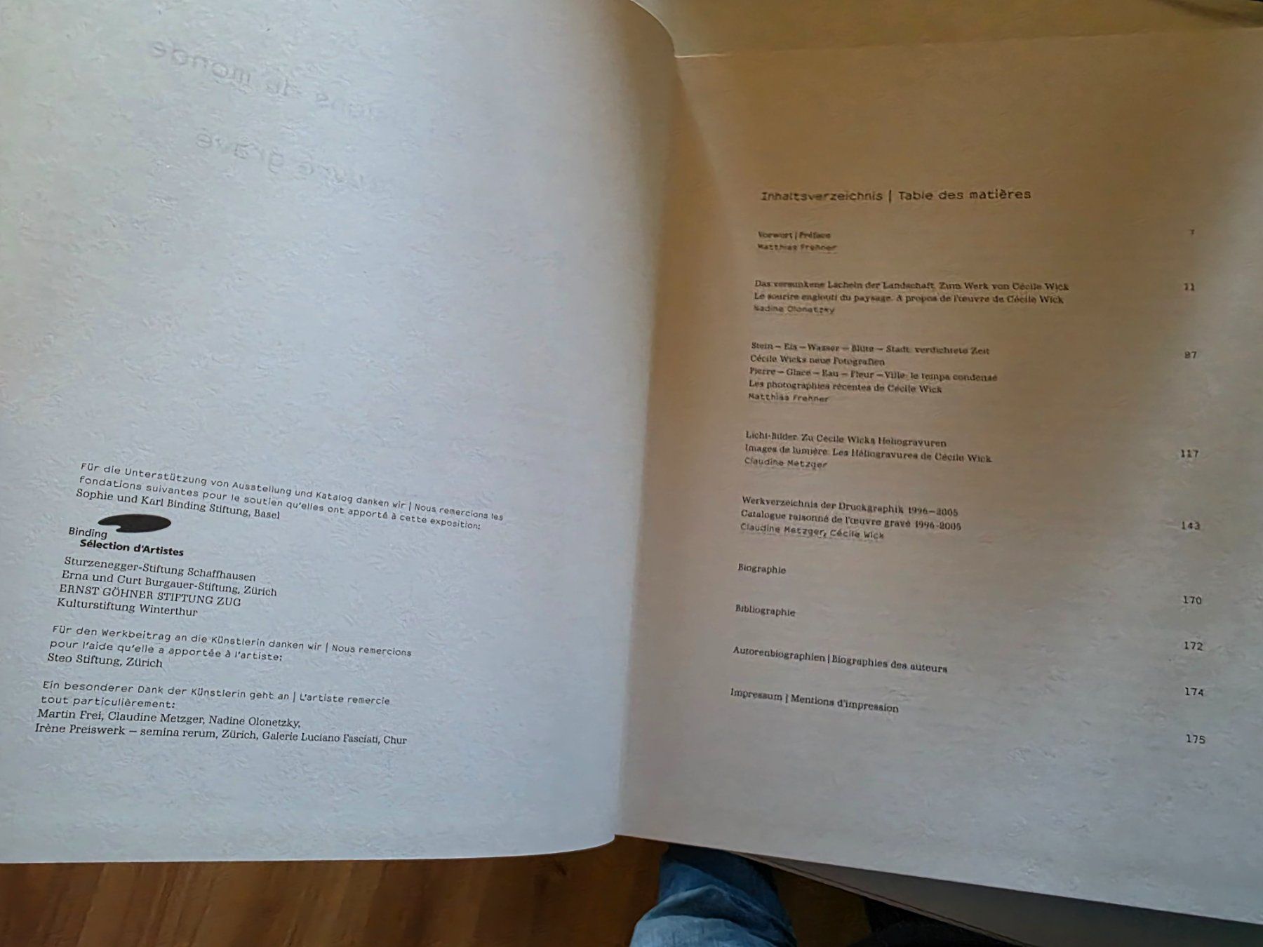 Libri: Cécile Wick - Weltgeschichte - Kunstmuseum Bern 2006 – Nuovo (secondo la descrizione) da Walterswil BE venduto da Lonitti 2