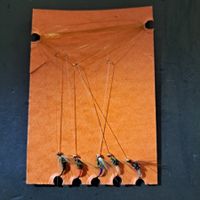 Gambe 5 nymphes à perle/ Hegene 5 Goldkopf Nymphen