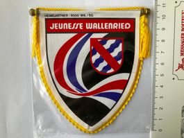 Vintage Fanion/Wimpel    JEUNESSE WALLENRIED