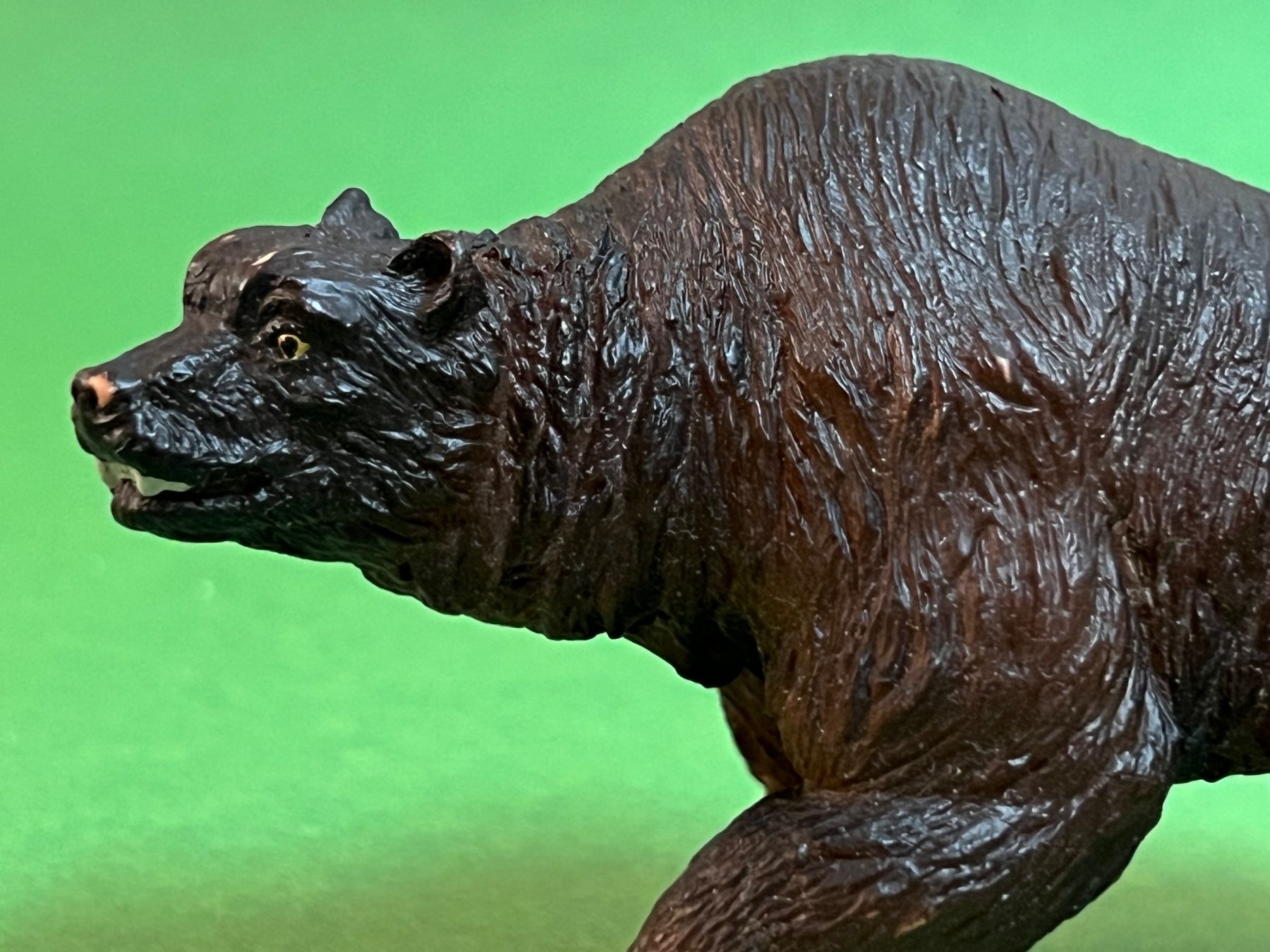 Schleich Statuette: Schleich Höhlenbär 16521 Bär – Usato da Ennetbaden venduto da mapa05 1