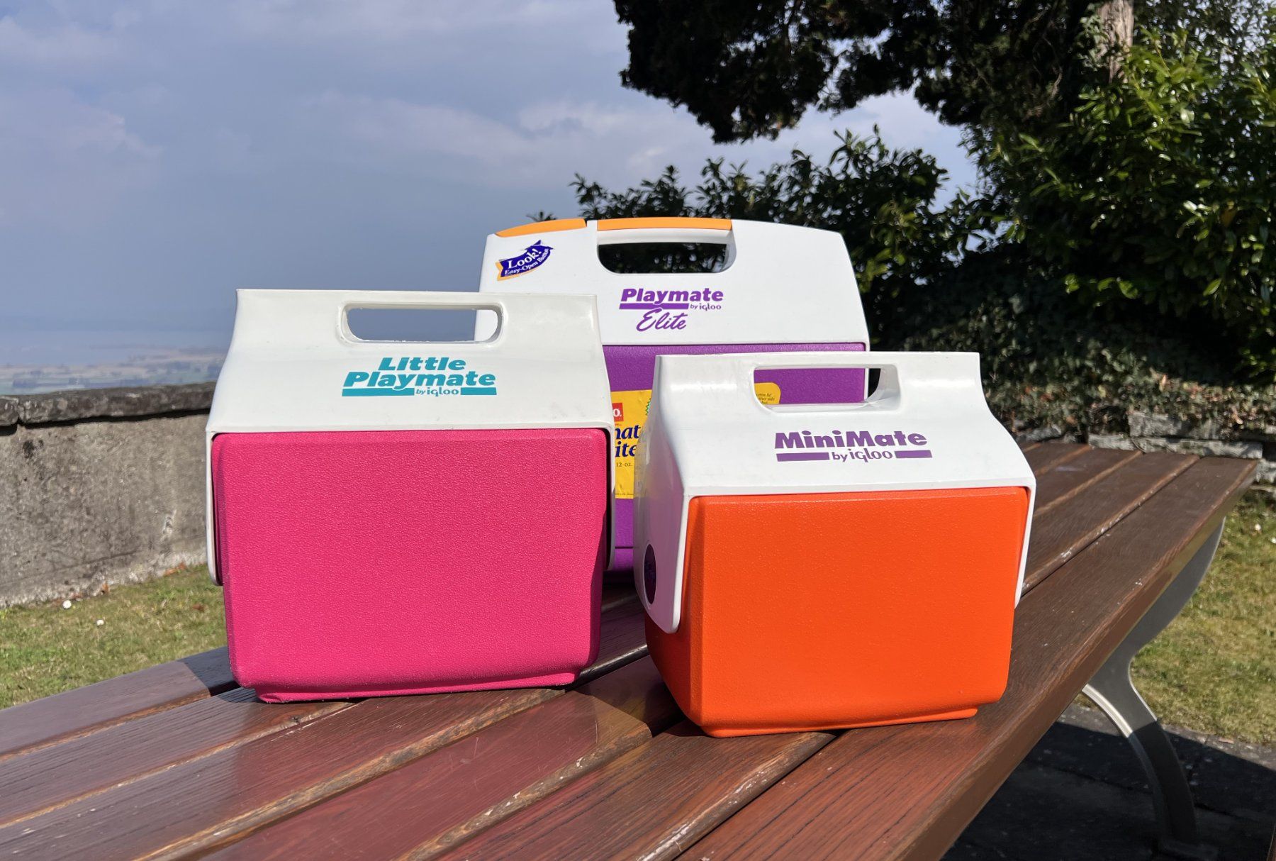 Frigoriferi & Refrigeratori: Vintage Playmate Elite by Igloo I Kühlbox – Usato da Walzenhausen venduto da stilvollwohnen 1