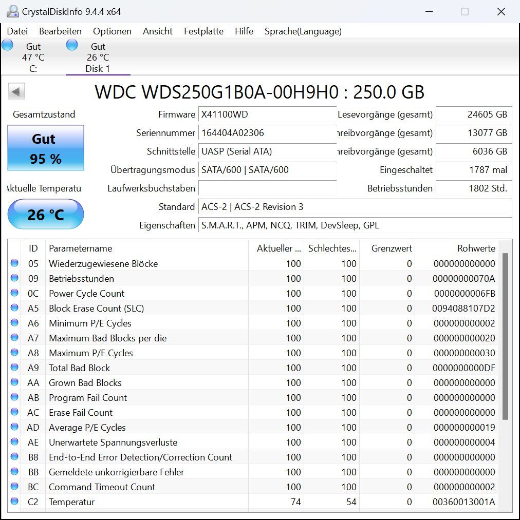 Western Digital Dischi rigidi: WD Blue PC SSD 250GB – Usato da Zürich venduto da HarlacherIT 2