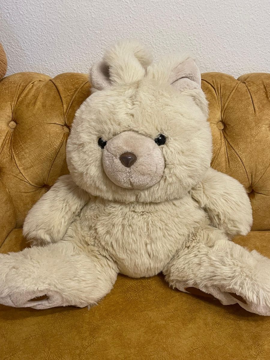 Giocattoli: Teddy 🧸  – Nuovo (secondo la descrizione) da Zürich venduto da sha_207 2