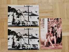 3 Grusskarten Romantik (neu)