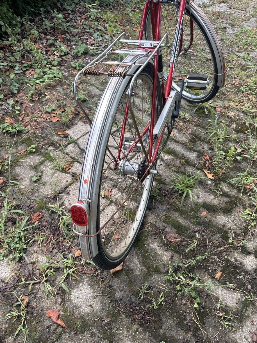 Vélos: Hercules Herrenrad rot  – D'occasion à Marbach SG par dan_62c6 2