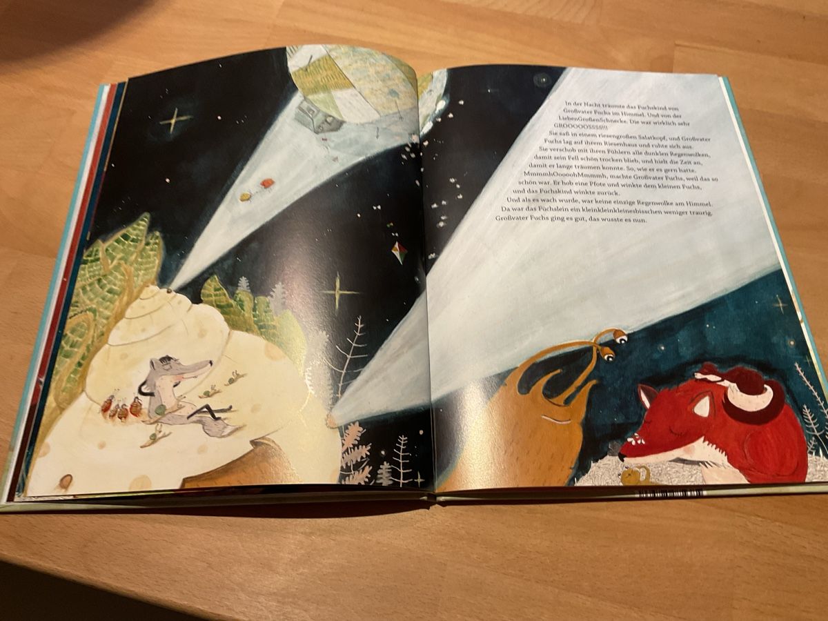 Libri: Kinderbuch KleinerFuchs Grosser Himmel 3+ – Nuovo (secondo la descrizione) da Wil ZH venduto da RiccardaWegmann 3