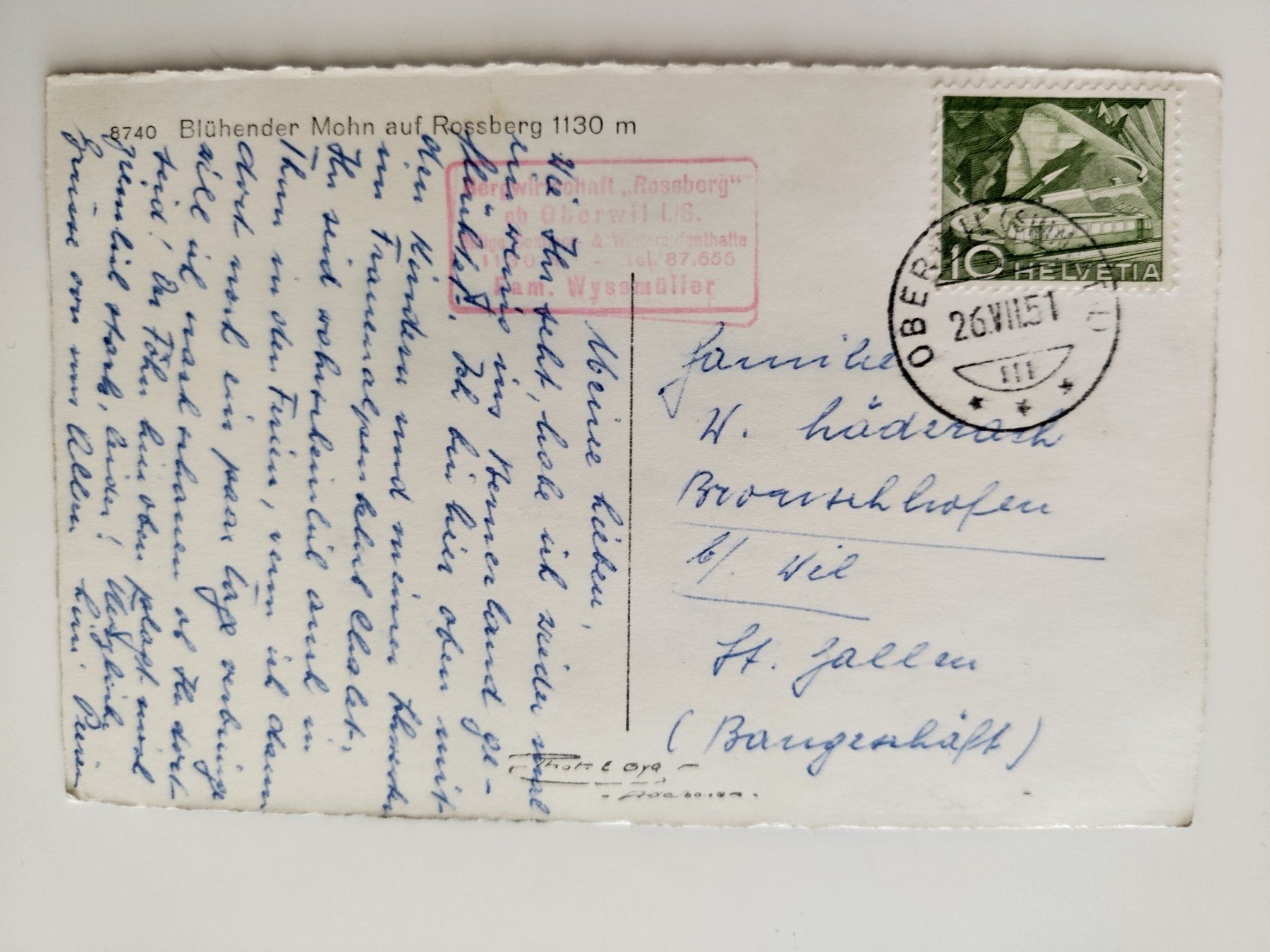 Cartoline postali: Blühender Mohn am Rossberg! dat. 1951 – Usato da Ohmstal venduto da Lebensfreude05 1