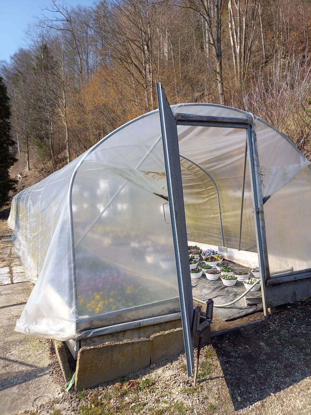 Casette da giardino & serre: Folientunnel-Gerüst – Usato da Alchenstorf venduto da 20claudia14