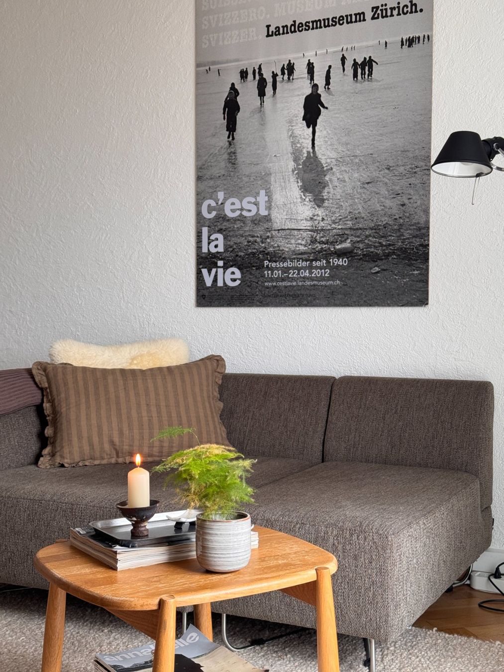 Bolia Sofas: Bolia Sofa in Braun – D'occasion à Zürich par goebelclara