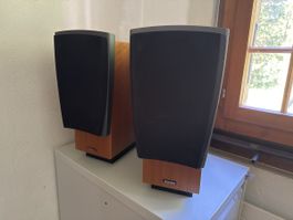 Dynaudio Confidence C1 Lautsprecher Paar Holz gut erhalten