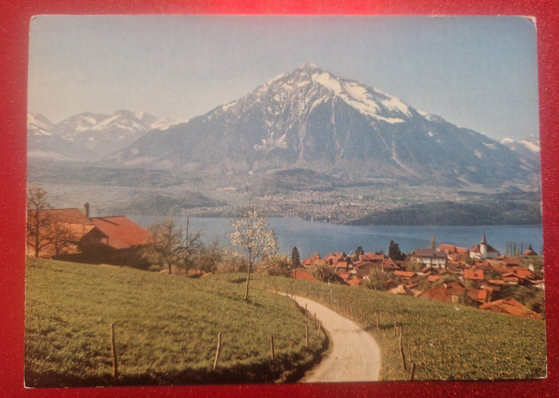 Cartoline postali: Thunersee, Sigriswil 1982 – Usato da Melchnau venduto da Fishel