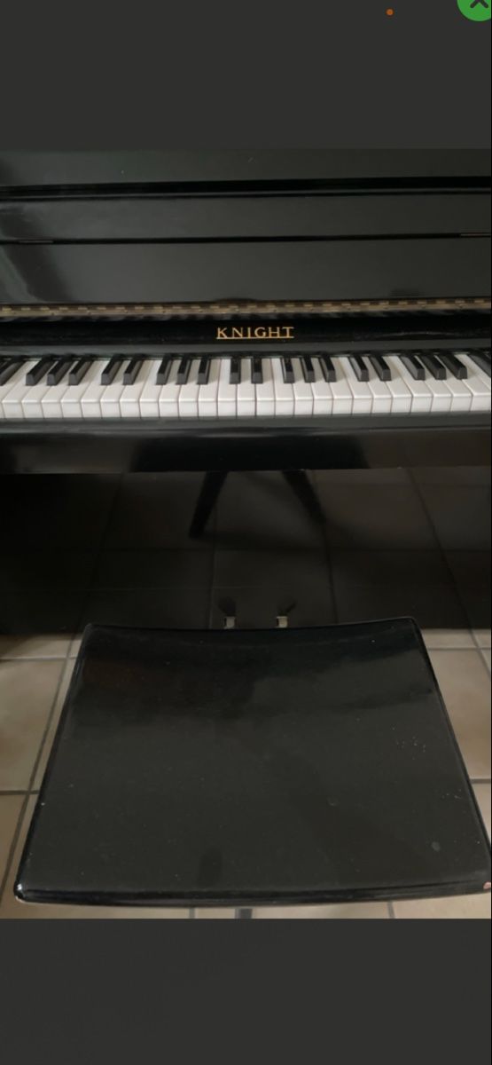 Strumenti musicali: Klavier Knight – Usato da Maur venduto da terryf