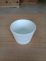 Schoene Zimmerpflanze Topf, Weiss