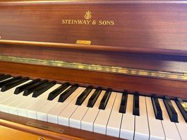 STEINWAY & SONS V-125 Modell in Nussbaum