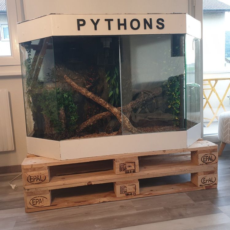 Terrarium pour reptiles / pythons regius (D'occasion) à pour CHF 100 ...