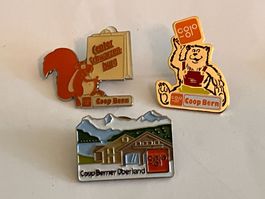 3 Pin Coop Bern Berner Oberland