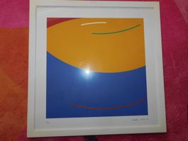Sammlung Verkauf - Kunst Serigraphie v Müller - Tosa Heinz