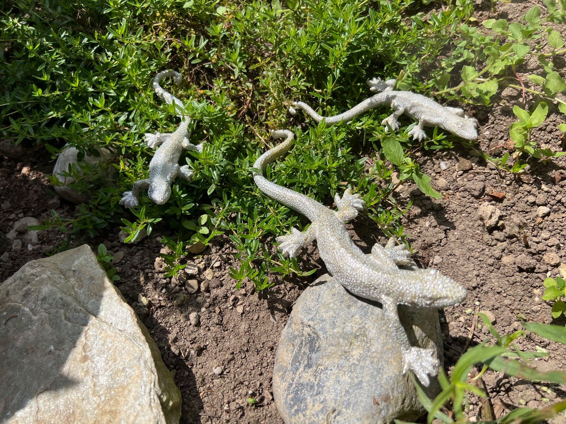 Tutte le decorazioni: 1 Gecco Salamander Deko mit Aufhänger – Nuovo (secondo la descrizione) da Bern venduto da FANTASTICTREASURES 8