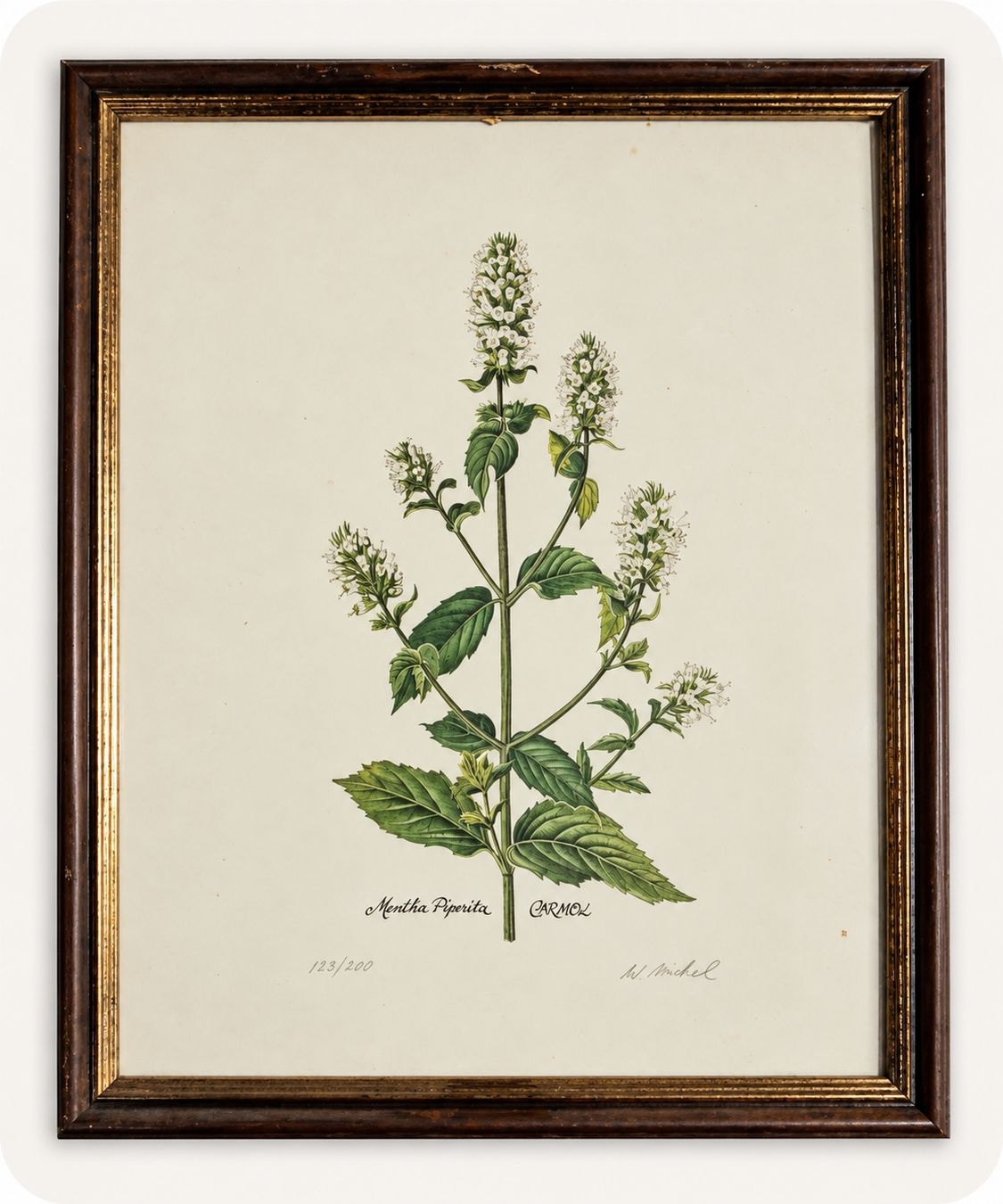 Gemälde: Lot de 2 tableaux botaniques encadrés – Gebraucht aus Genève von 3eme_art_gnv 1