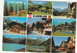 Saanen BE. MBK.