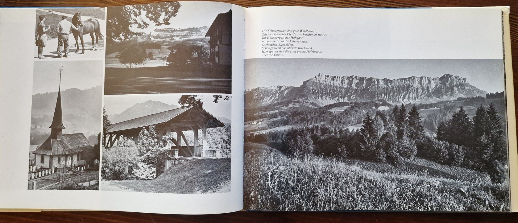 Libri: Die Emme – Nuovo (secondo la descrizione) da Röthenbach i. E. venduto da Heureka5 4