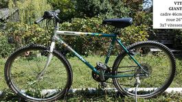 VTT Giant