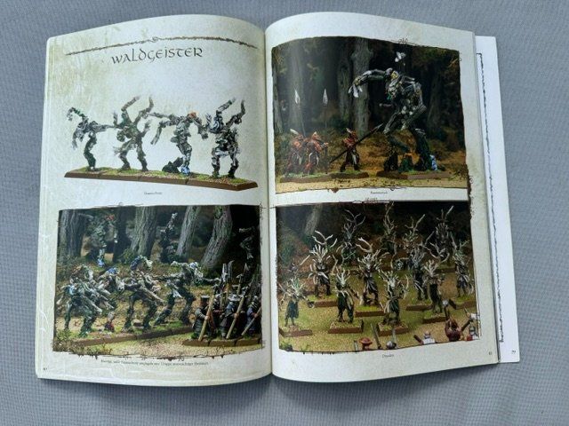 Libri: Warhammer - Armeebuch - Waldelfen - 7. Edition – Nuovo (secondo la descrizione) da Biberstein venduto da Lou13lou 2