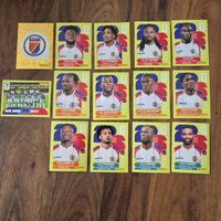 Panini Sticker Haiti 2026 14 Stk