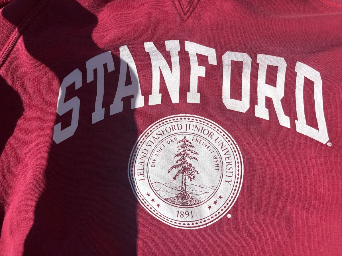 Champion Maglioni & Felpe: Original Stanford-Hoodie – Usato da Wetzikon ZH venduto da aku_gw6r 1
