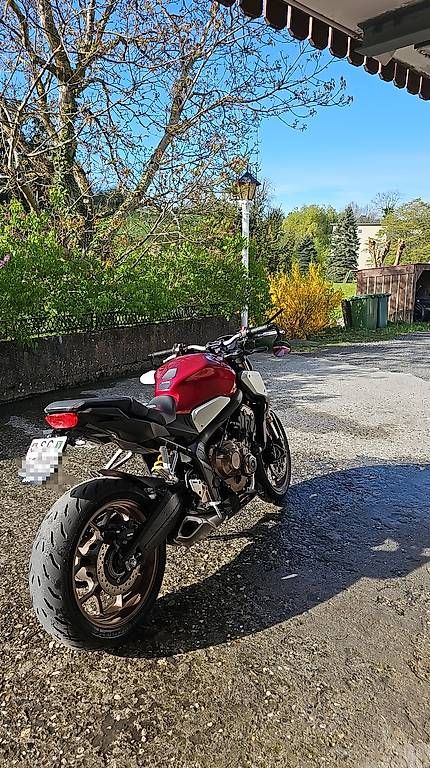 Strada: Honda CB650R – Usato da Walzenhausen venduto da zimtstern2000 3