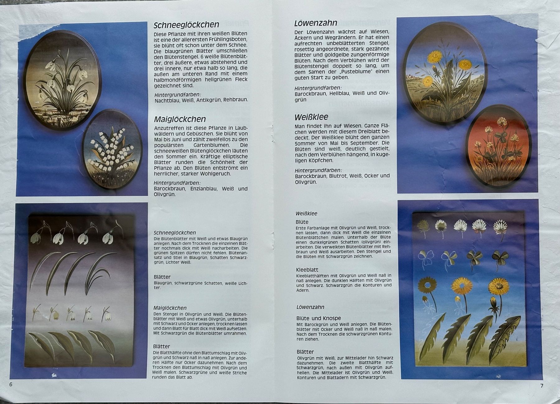 Sciablone: Blumenmalschule  (Malvorlage) – Usato da Obstalden venduto da Porco13 4