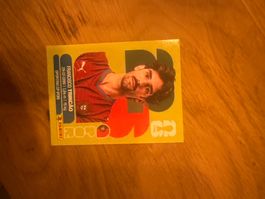 Panini