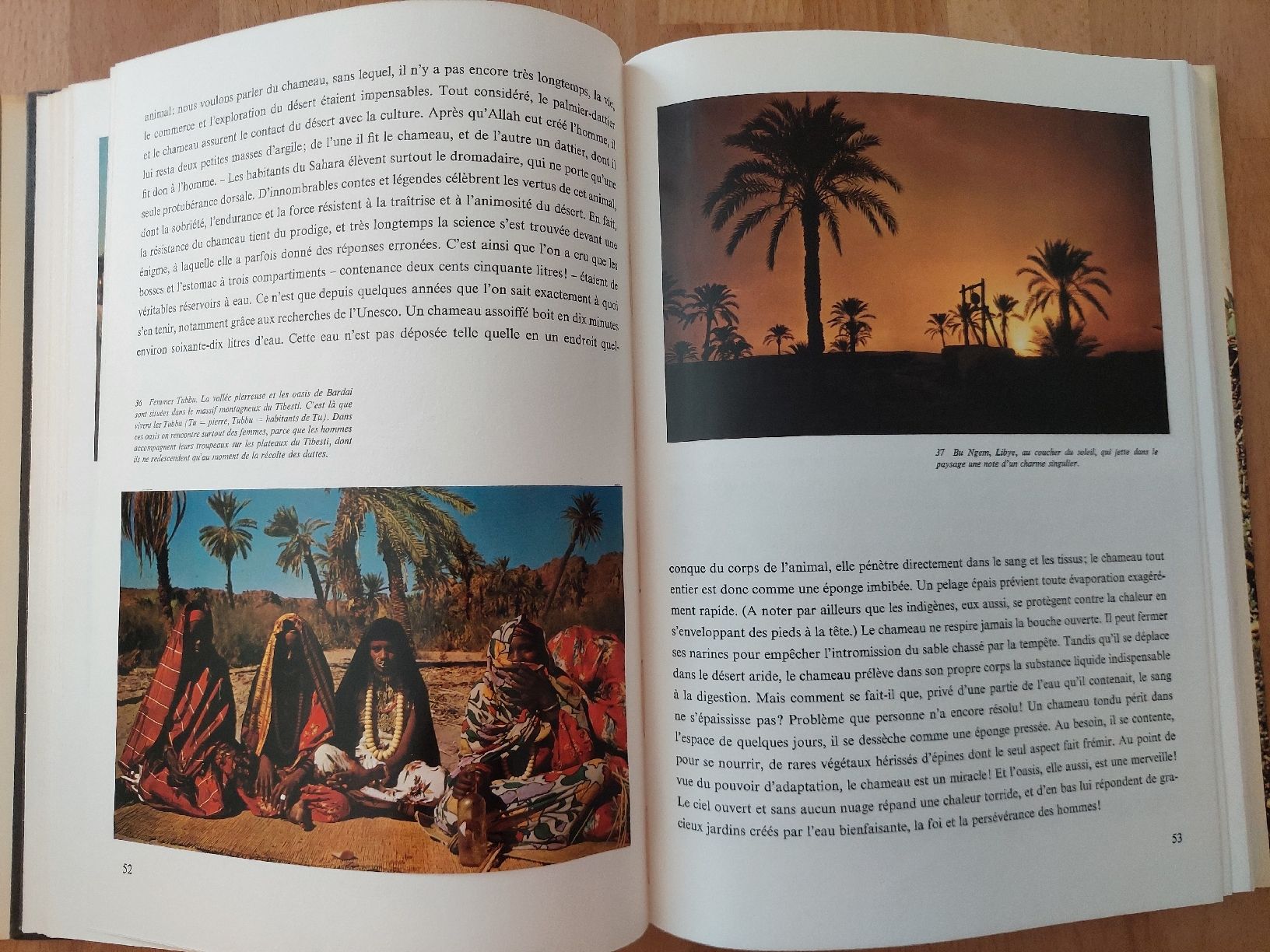 Bücher: Afrique - désert steppe forêt vierge – Gebraucht aus Yverdon-les-Bains von pri_x6j6 4