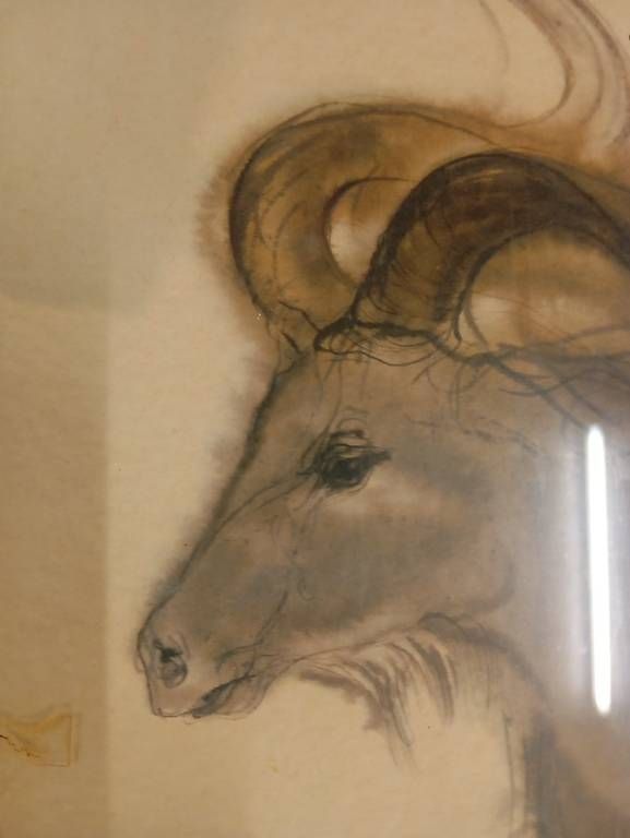 Grafica & Litografie: Meyer Gasters, Tierbild, signiert – Usato da Basel venduto da Petergunn 1