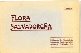 Blumen -Flora Salvadorena - Benziger-Verlag
