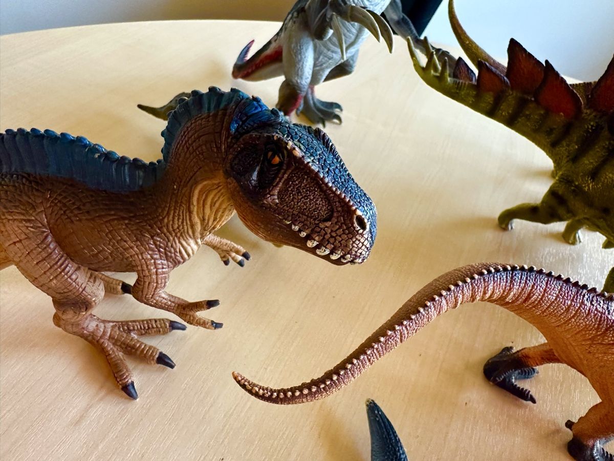 Livres: 14 Dinosaurier – D'occasion à zollikon par mme_kwf2 4