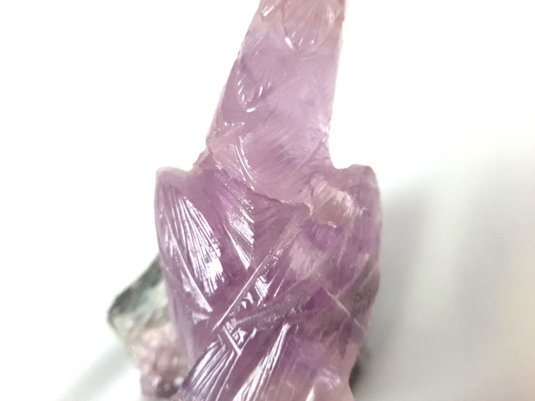 Minerali & Pietre curative: Papagei auf Amethyst – Usato da Beinwil am See venduto da Restwert_Beinwil 4