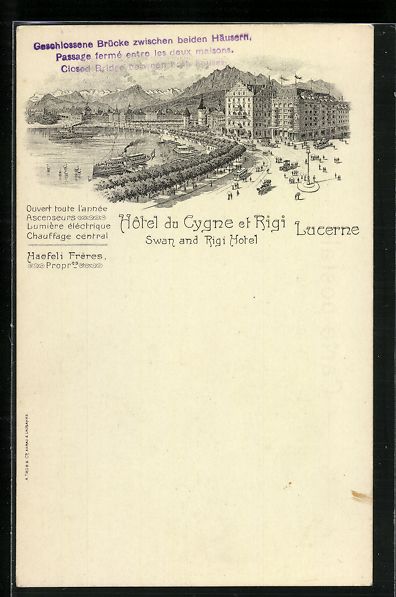 Cartoline postali: Litho Lucerne, Hotel du Cygne et Rigi – Usato da Berlin venduto da bartko-reher