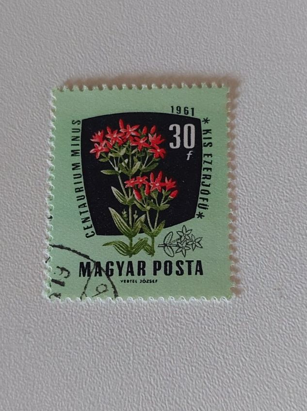 Alle Briefmarken: Ungarische Briefmarke 30f, Centaurium Minus – Gebraucht aus Erlinsbach von pfunky