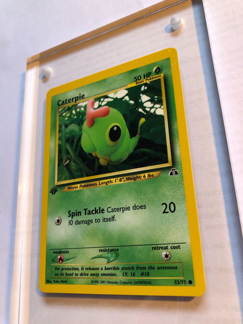 Carte collezionabili: Caterpie 1st Neo Discovery - MINT - ab 1.- – Usato da Giubiasco venduto da dan_pr8b 2