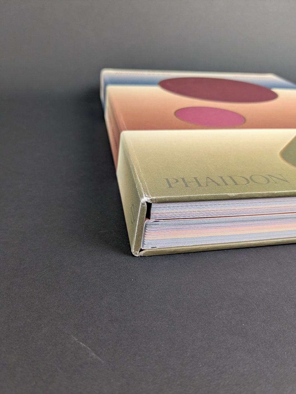 Libri: Beyond Peaks Kochbuch Andreas Caminada, M. Skiba – Usato da Dintikon venduto da Restwert_Dintikon 6