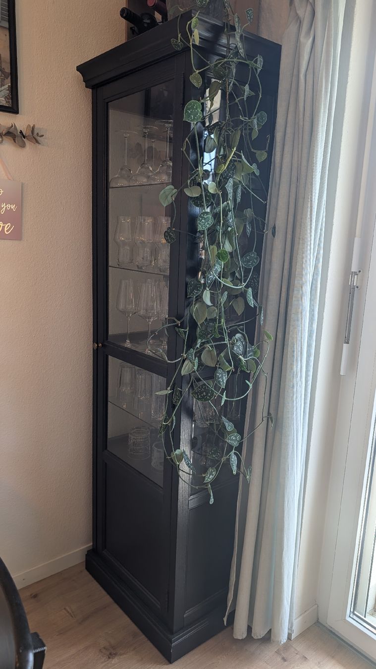 Ikea Vetrine: Vitrinenschrank schwarz mit Glasfronten – Usato da Bremgarten AG venduto da Tabea1108