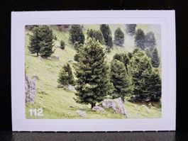 MIGROS MANIA Nature Detectives Nr. 112