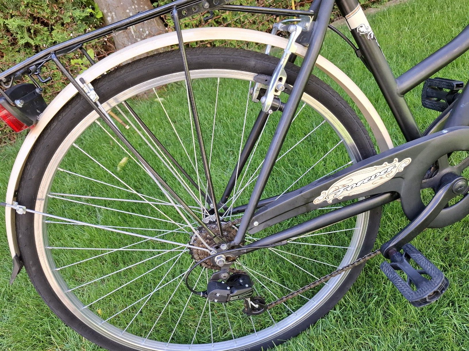 Biciclette: Damenvelo  – Usato da Balterswil venduto da schnecke89 1